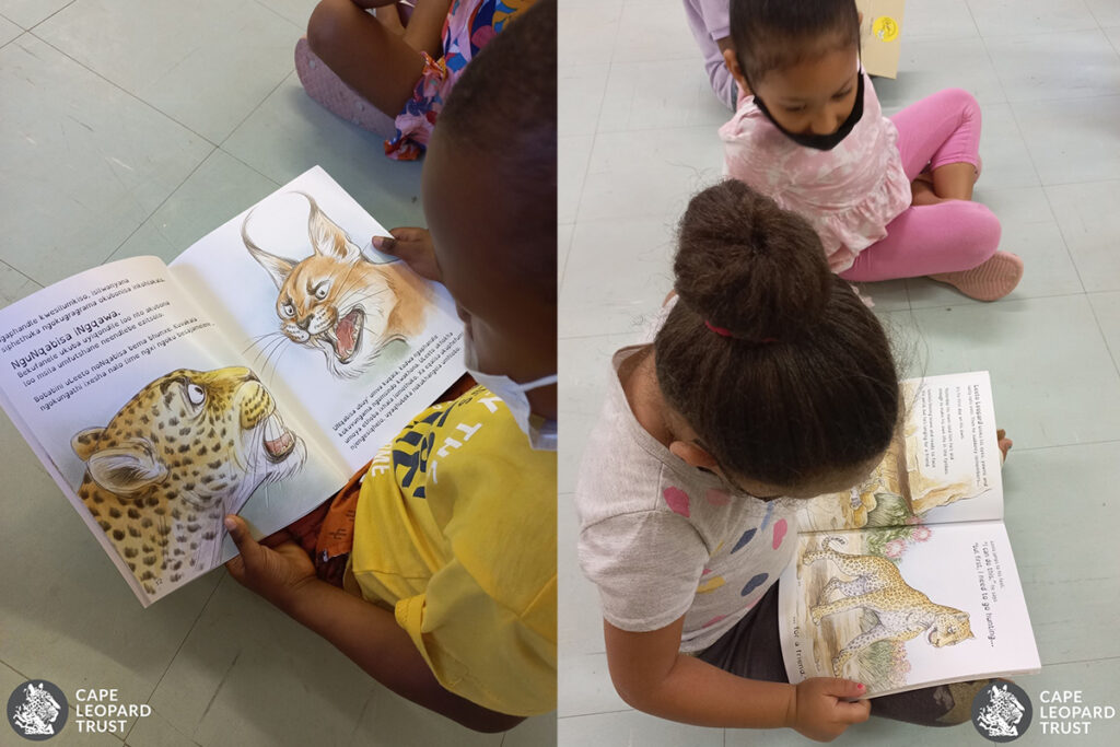 Cape Leopard Trust children reading cheetah books