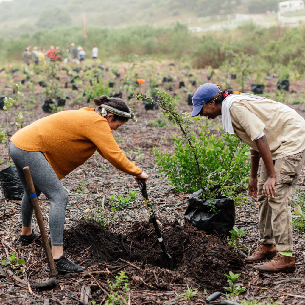 making the world green