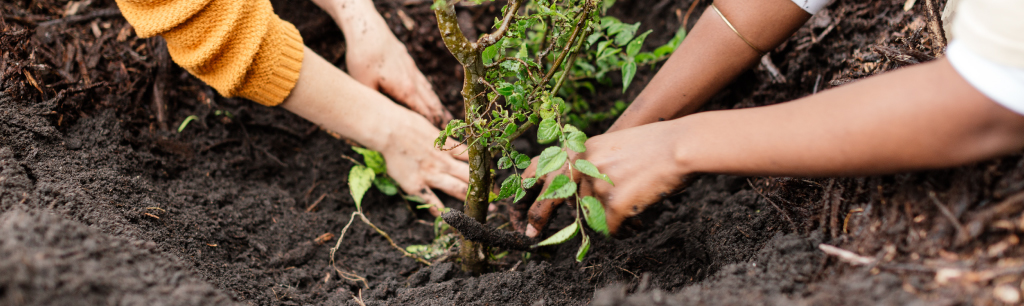 Greenpop hands and plants