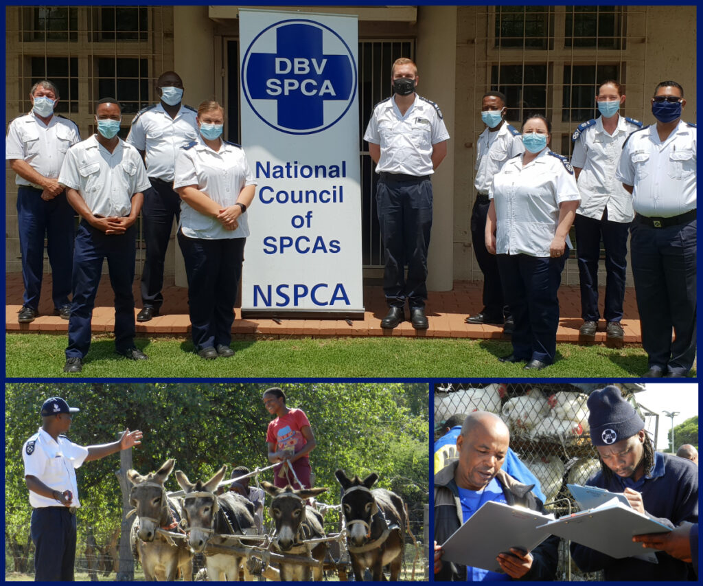 NSPCA Personnel collage