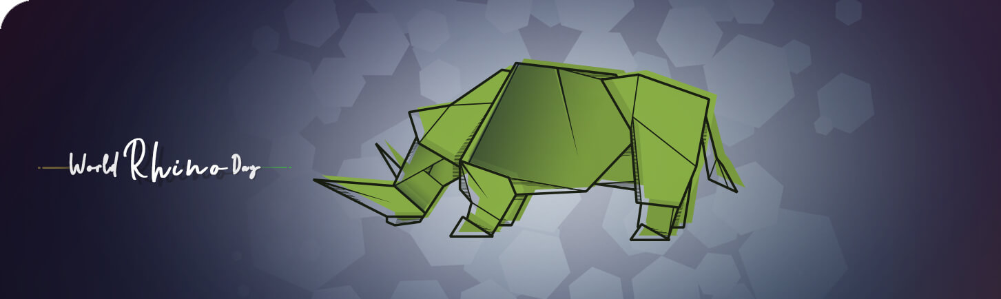 MyPlanet Rhino Fund Origami Banner