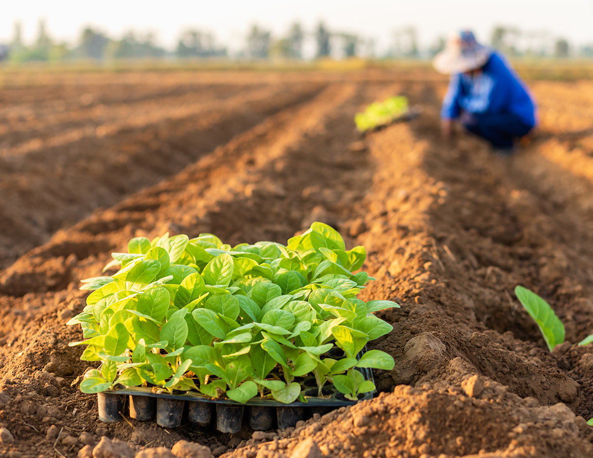 Farming for the Future