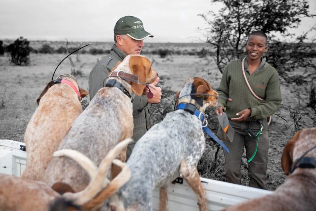 SA Wildlife College dogs and handler training